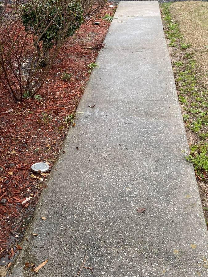 Concrete walkway cleaned by pressure washing