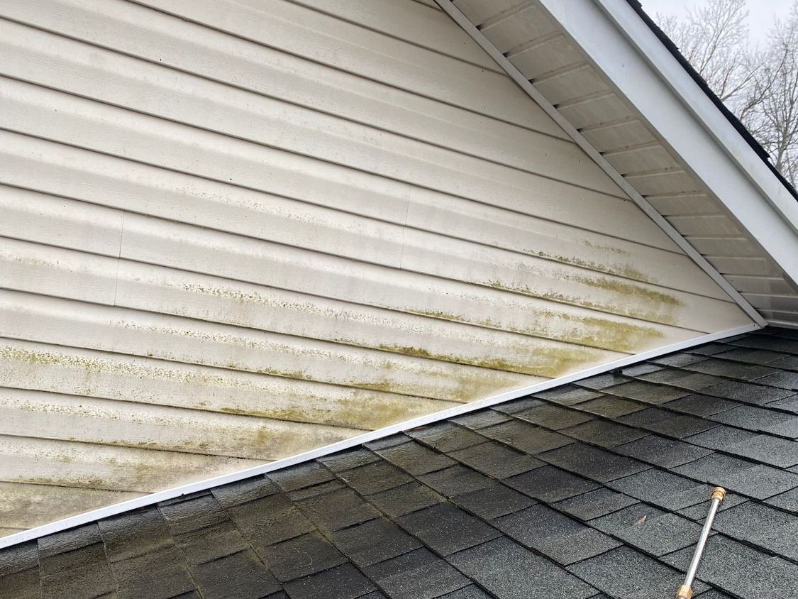 Green algae streaking cream gable siding and shingles before soft washing