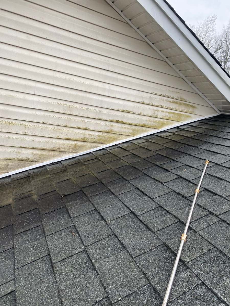 Close view of a cleaned shingle roof after soft washing