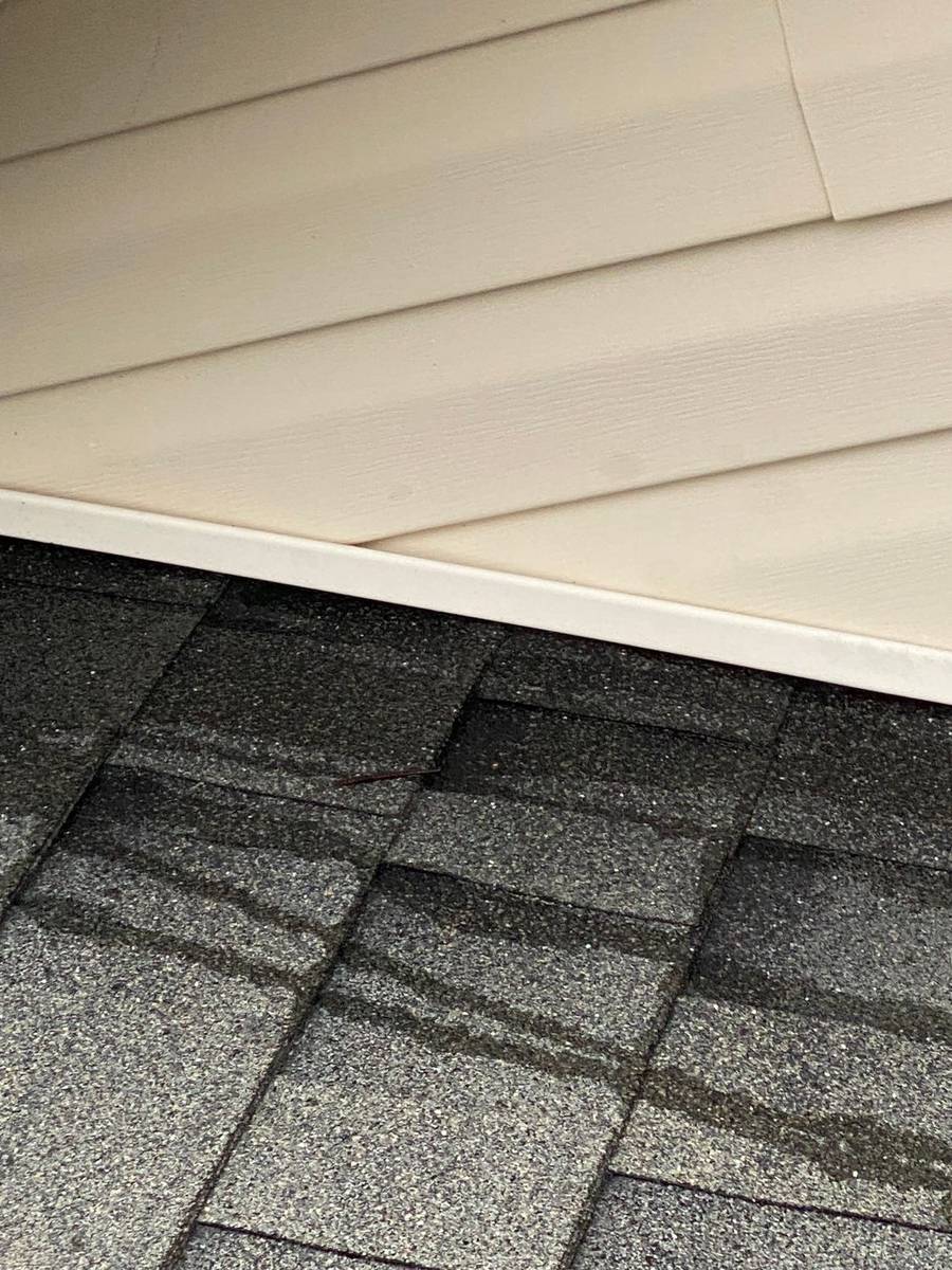 Shingle roof after soft washing to remove algae streaks